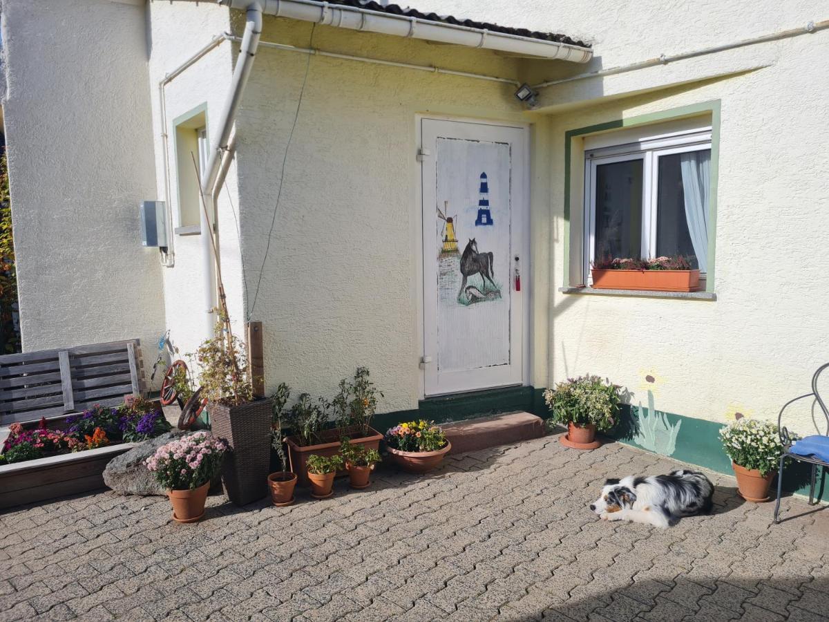 Ferienwohnung Im Wispertaunus Dickschied Zewnętrze zdjęcie